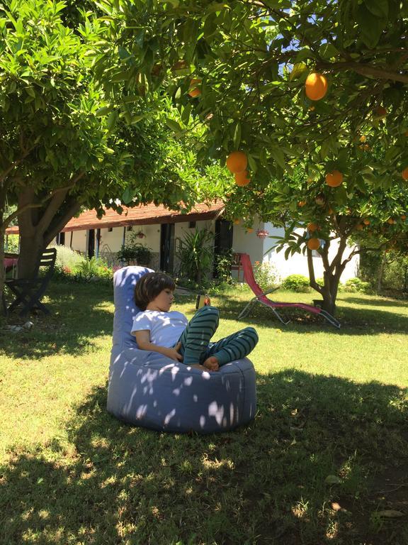 Cirali Friends Pension&Camping エクステリア 写真